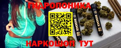 молекула духа Кулебаки